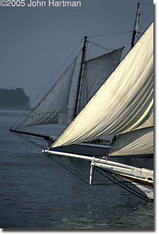 "In and Out of Light" photograph