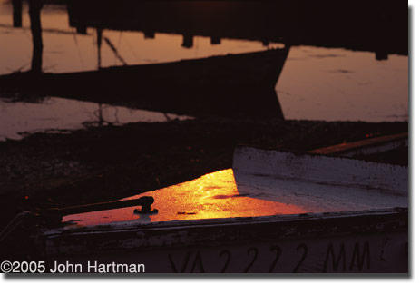  "Early Light " Wachapreague, VA