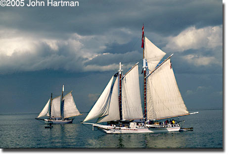 "Parade of Sail" - sailboat photo