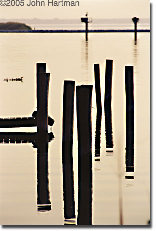 "Pilings and Ducks" photograph