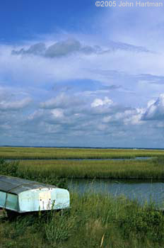 John Hartman  - photography